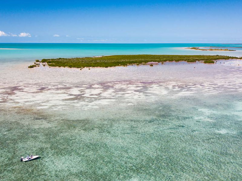 abaco-gallery-2