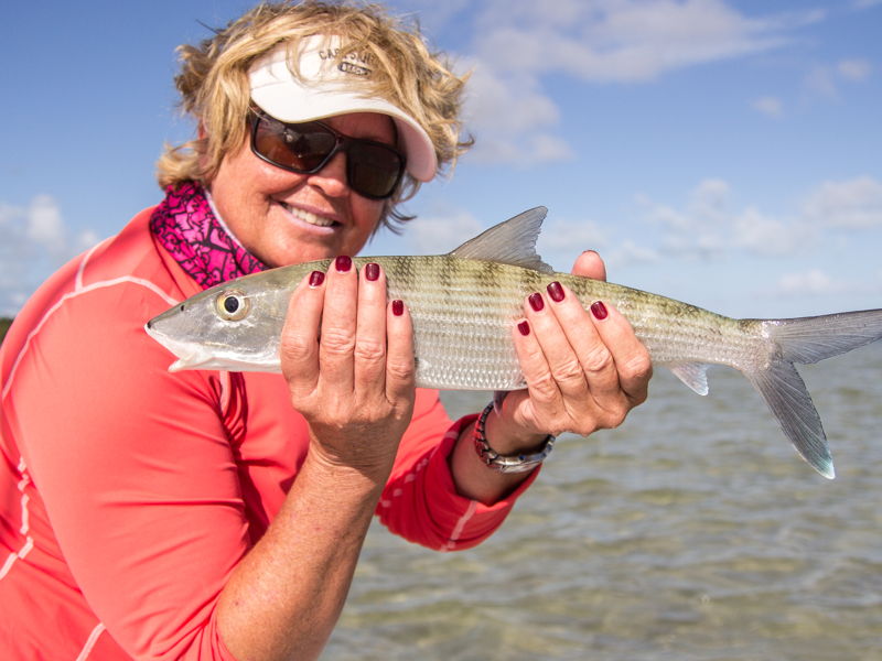 abaco-gallery-20