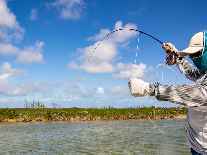 abaco-gallery-29