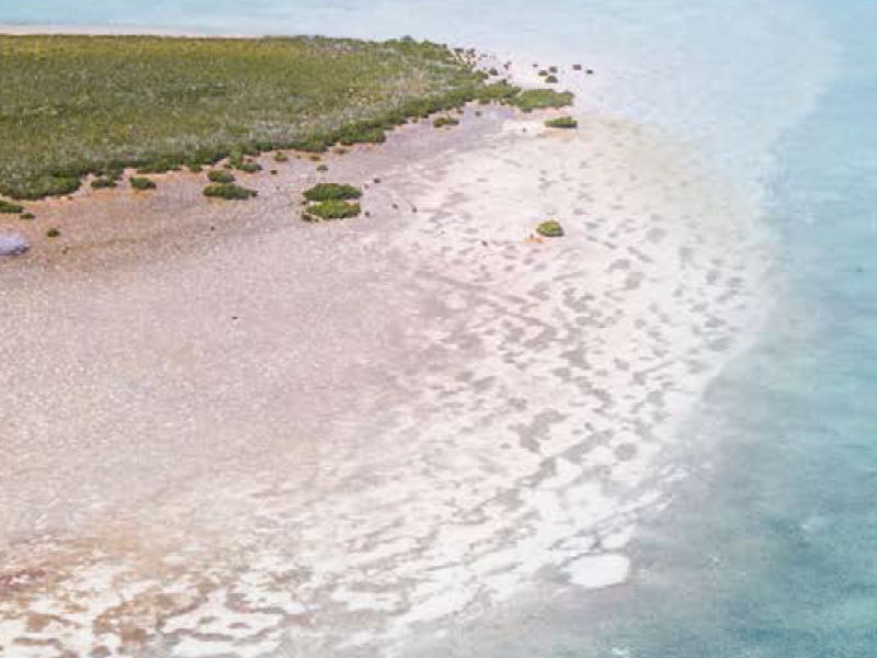 abaco-gallery-7