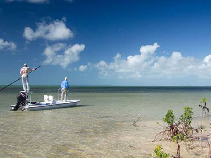 abaco-gallery-8