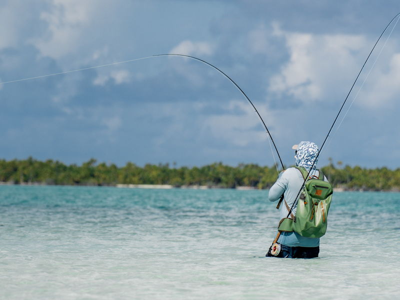anna_atoll-gallery-5