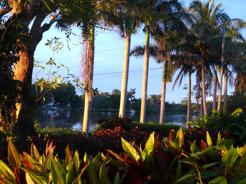 belize_river-gallery-19