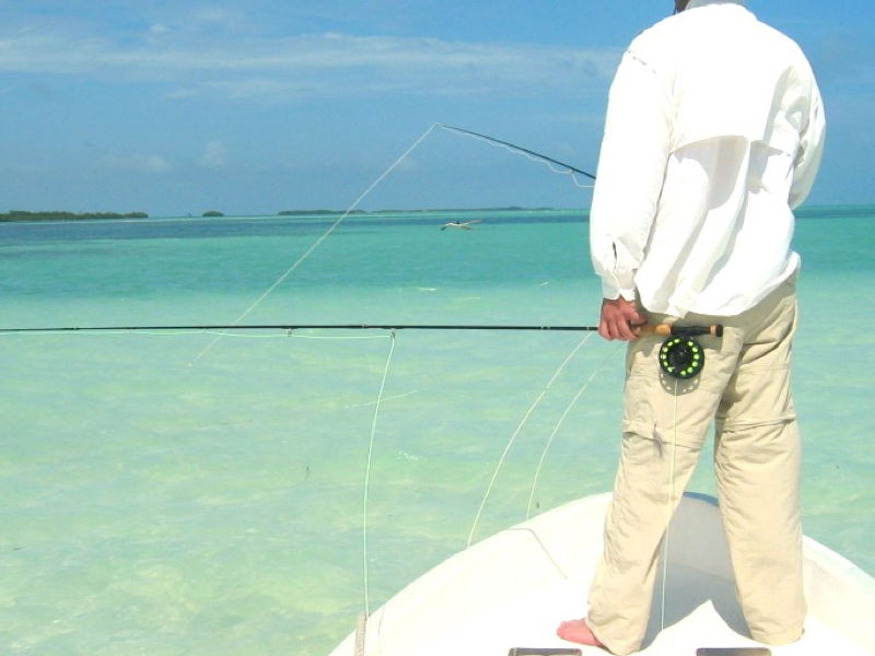 belize_river-gallery-24