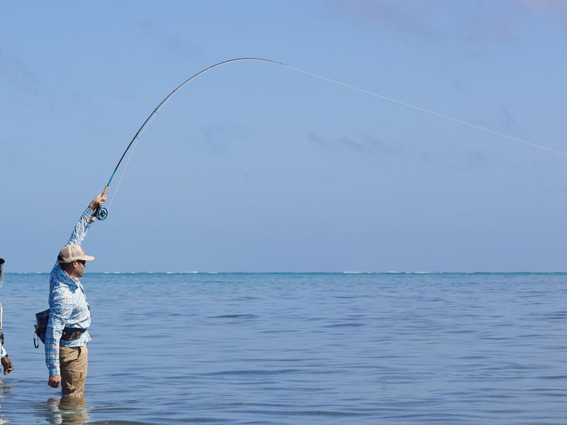 BELIZE 2020
