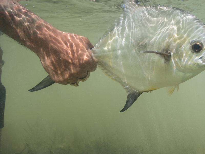 el_pescador-gallery-15