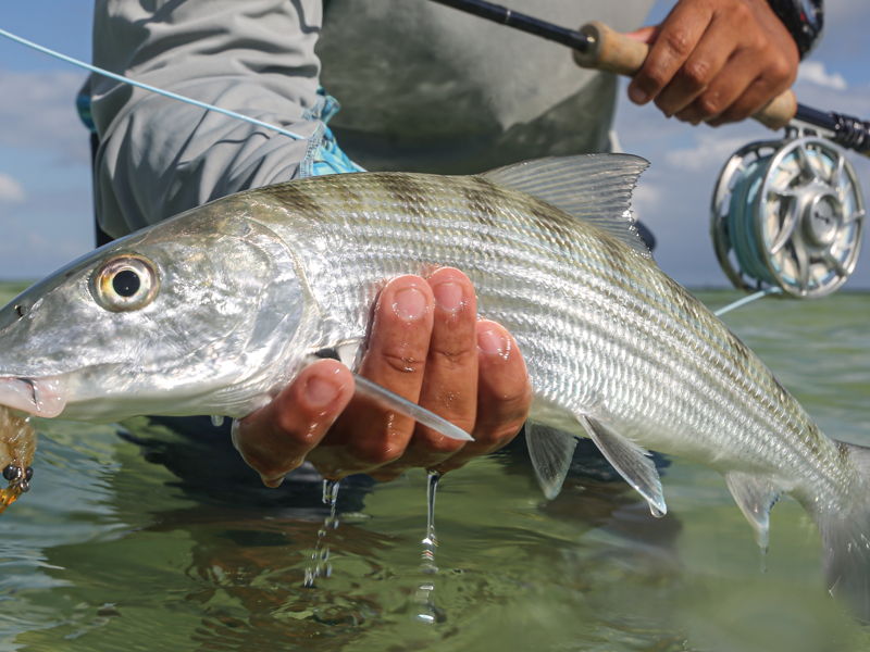 el_pescador-gallery-25