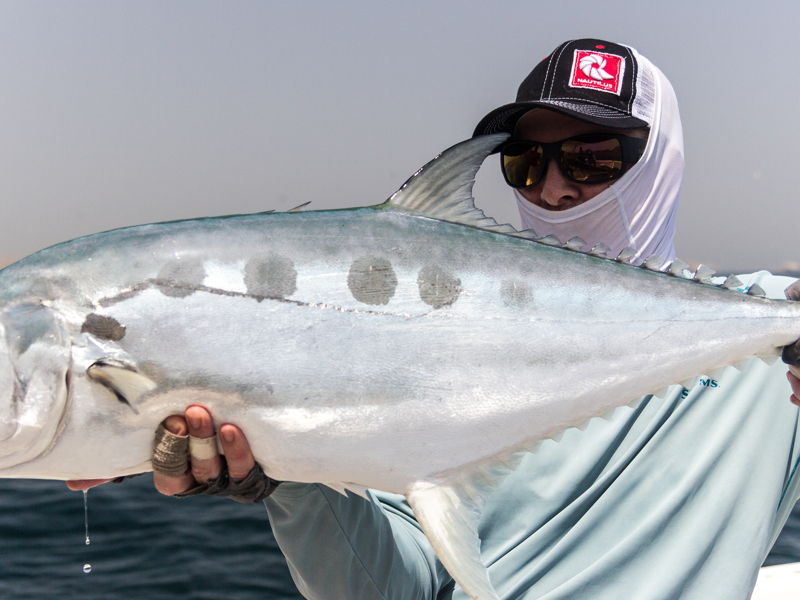 oman-gallery-1