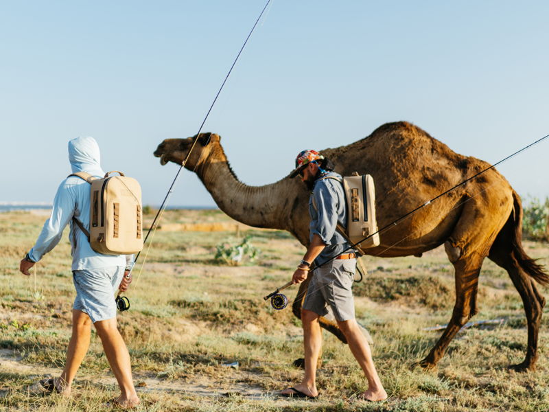 oman-gallery-31