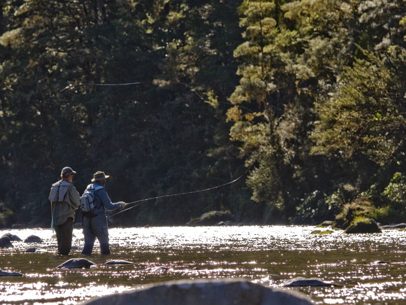 fly fishing in upper Wangapeka River, Nelson Region, South Island NEW ZEALAND