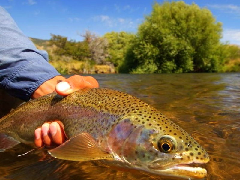 patagonia_estancia_pilolil-gallery-7