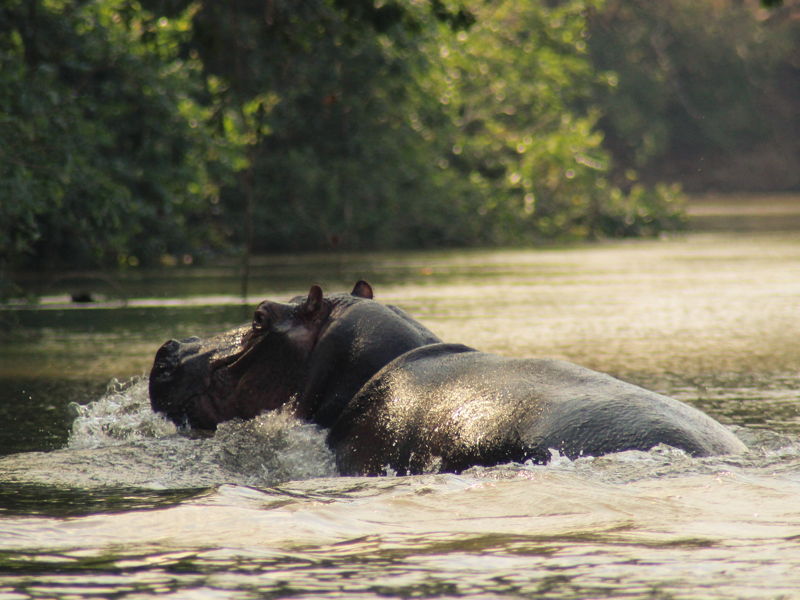 tanzania-gallery-1