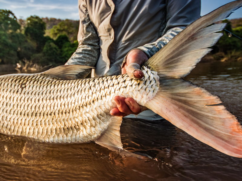 tanzania-gallery-15