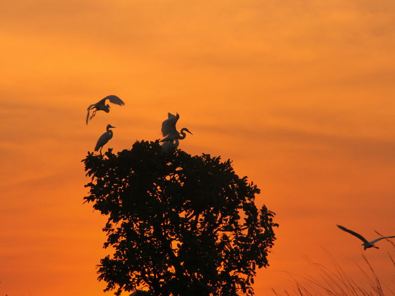 tanzania-gallery-17