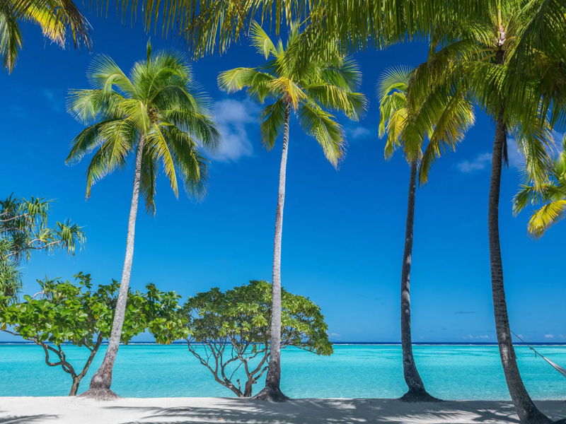 tetiaroa-gallery-15