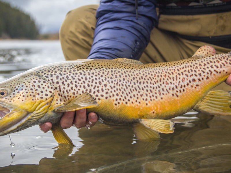 jackson-fishing-01