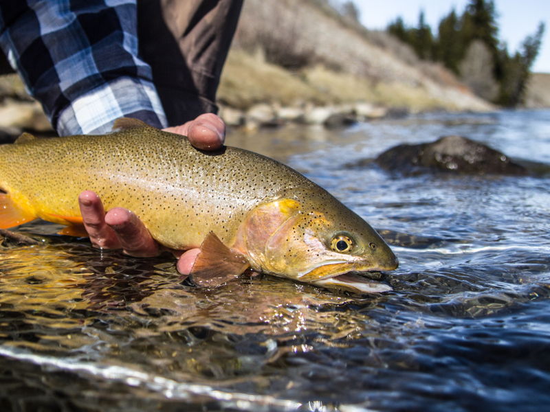 jackson-fishing-05