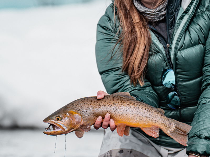 jackson-fishing-12