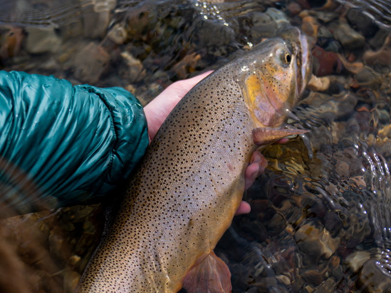 jackson-fishing-13